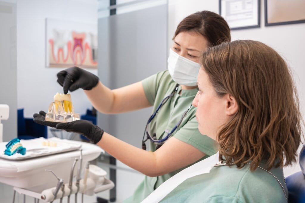 Dental professional explaining dental implant crown on teeth model, guidance on dental implant care
